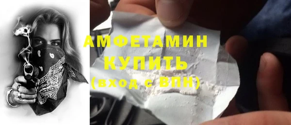 шишки Лагань