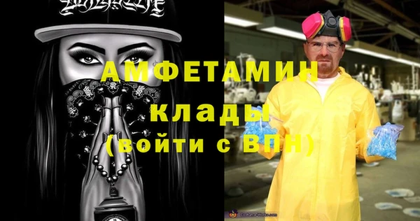 шишки Лагань